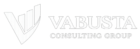 vabusta consulting group transparan